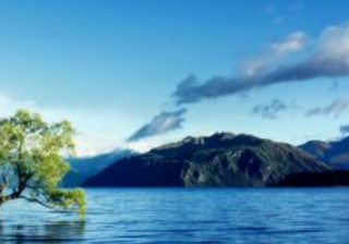 深圳搜狗投放广告代理商找哪家运营最好？