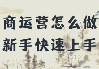 电商运营怎么做？新手快速上手，实现收益