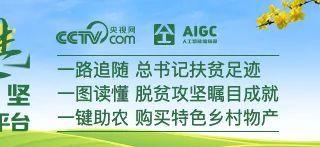 “所谓网红，说穿了也就那么点事儿”