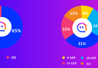 网店推广运营公司（这几家被阿里认证过）