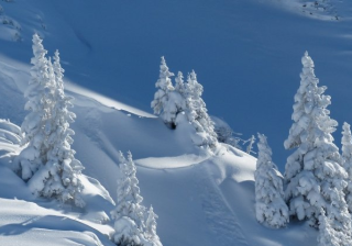 小红书信息流广告账户如何开通？小红书信息流开户有什么投放技巧？