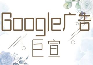 Google广告：预览公司资料