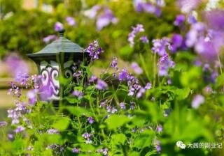 京东直营店能加盟吗（京东直营入驻条件和费用）