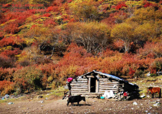 陌陌推广开户、快手、头条、微博，这些互联网产品有啥共同逻辑？