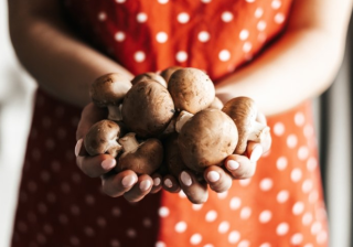 网易广告客服电话是多少？网易现在跑电风扇成本需要多少？