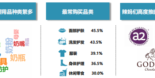 必应广告跨境消费研究报告说明《02》