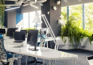 神马搜索推广的广告平台及推广策略