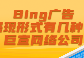 将受众与必应广告投放组或广告系列相关联