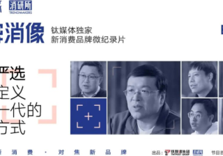 网易推广：新消费品牌网易严选：比起to VC，我们更to C丨品牌消像《第二期》