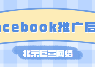 Facebook 自动应用广告表现抢眼，令另一数字平台难以望其项背
