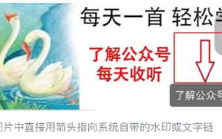 微信广告投放：外层视频规范