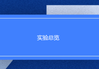 Facebook广告开户平台：实验总览