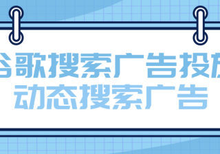谷歌搜索广告投放——动态搜索广告