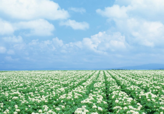 华为商店开户怎么做？华为信息流广告