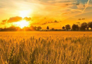 华为信息流广告怎么投放？华为代运营。