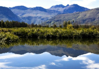 在北京小米信息流广告怎么做？广告有什么政策？