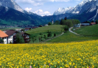 魅族推广怎么做？跑减肥行业效果好吗？