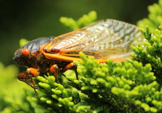 UC信息流广告投放可以跑什么产品呢?在uc上跑那些行业效果好呢？