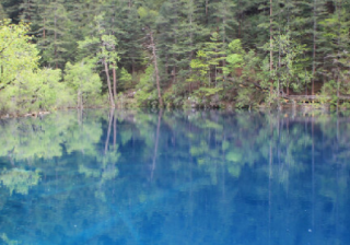 wps信息流开户怎么收费？wps信息流开户流程有哪些？