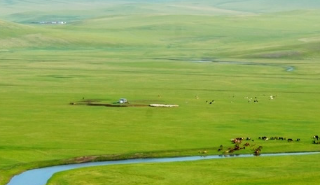 新浪推广广告效果好不好？推广广告全投放。