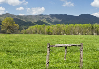 智慧树推广电话是多少？智慧树广告怎么收费？