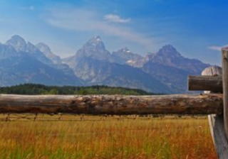 智慧树茶叶广告投放技有哪些？智慧树开户代理商电话是多少？