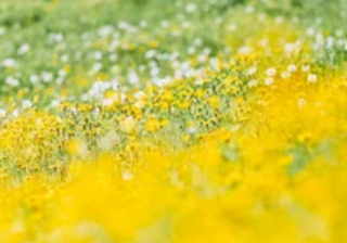 酷狗音乐品牌广告推广效果好吗？酷狗音乐推广业务流程是什么样的？