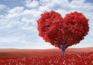 懂球帝现在跑祭祀用品有户吗？懂球帝代理商是哪家？