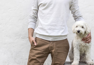 懂球帝信息流推广怎么做？懂球帝开户价格是多少？