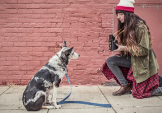 懂球帝广告怎么做？懂球帝现在跑卫浴家电成本需要多少钱呢？