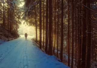 智慧树推广怎么做？智慧树信息流有哪些开户优惠活动​？