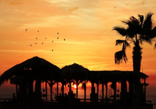 北京的懂球帝广告怎么做呢？懂球帝现在跑豆制品成本需要多少呢?