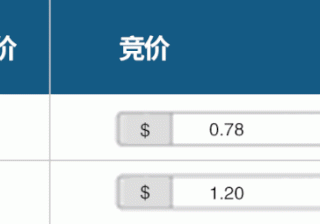 一分钟攻略：如何设置亚马逊广告关键词竞价？