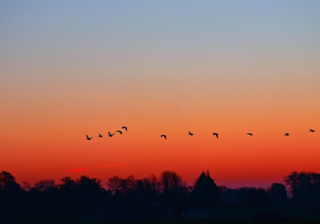 全民K歌广告开户流程有哪些?全民K歌现在跑兼职成本多少？