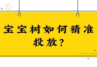 宝宝树如何精准投放？