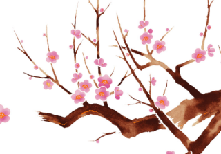 keep信息流广告怎么做？怎么投放广告？