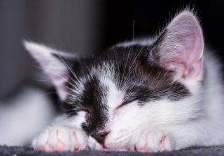 inmbli信息流推广效果好吗？inmbli信息流怎么投放广告？