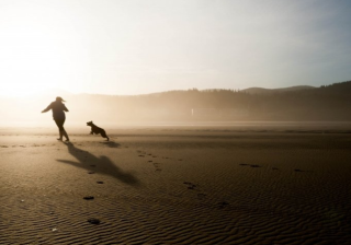 linkedin信息流多少钱代运营？linkedin广告多少钱投放？