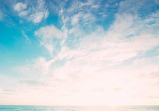 芒果现在跑香料广告效果好吗？在芒果跑生物制品返点多少？