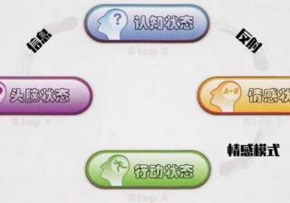 快手广告怎么做整个行为背后的大脑运行规律