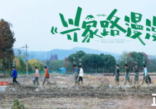 回归用户价值、深耕爱奇艺广告营销内容：品牌重塑