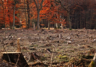 在知乎上投放高广告找谁？知乎现在跑填料效果怎么样？