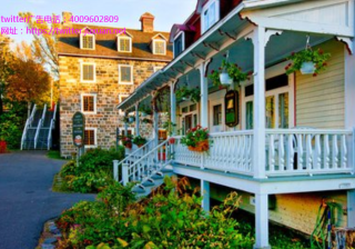 Twitter代运营第二季度净亏损$1.37亿 同比收窄