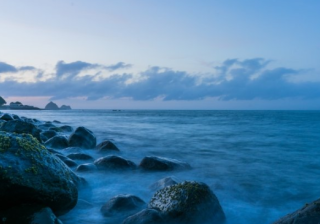 Twitter信息流广告客服电话是多少？Twitter现在跑食用菌成本需要多少钱呢？