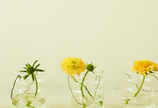 喜马拉雅跑小说广告优惠活动有哪些？有哪些投放技巧？