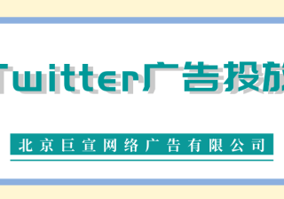 Twitter广告投放：推文和视频活动仪表板