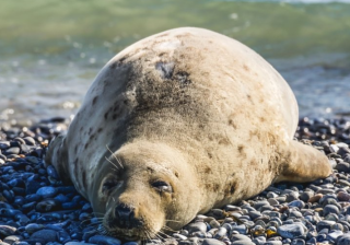 优酷推广怎么收费?优酷现在跑照明工具成本多少？