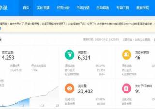 访客数是什么意思（淘宝提升访客的方法）
