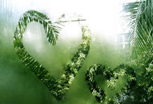 山西小红书广告推广运营公司？