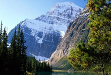 东方头条新闻怎么付费推广？